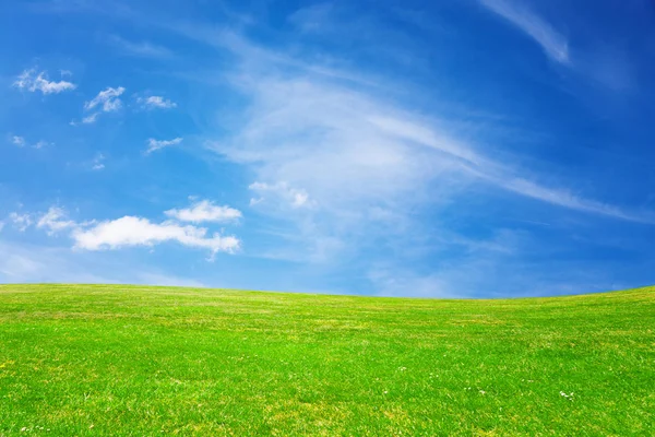 Grön Äng Och Blå Himmel — Stockfoto