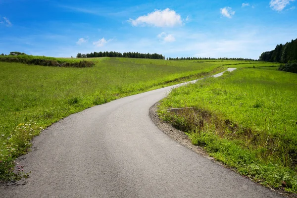 Asfaltweg Onder Groene Veld Weide Hemel Pad — Stockfoto