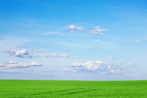 Veld Landbouw Hemel — Stockfoto