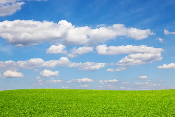 Луг Небо Облака Естественная Концепция — стоковое фото