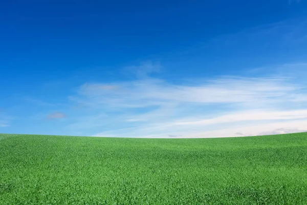 Prado Cielo Colina Nubes — Foto de Stock