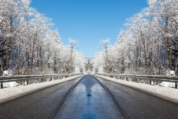 Asphalt road between snowy trees. Road in Winter. Road in Forest