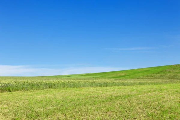 Cerro verde bajo el cielo azul. Banner ecológico . — Foto de Stock