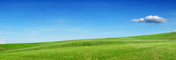 Green hill and meadow, blue sky. Ecology banner.