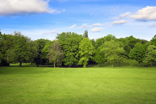 Wiese und Wald unter blauem Himmel. Umweltplakat — Stockfoto