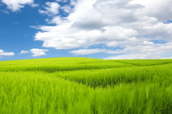 Pradera, colinas y cielo azul. Planeta verde — Foto de Stock