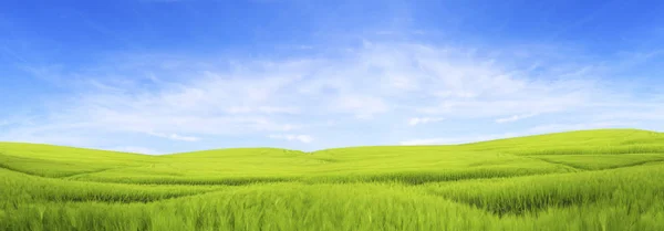 Campo, colinas, hierba y cielo azul . — Foto de Stock