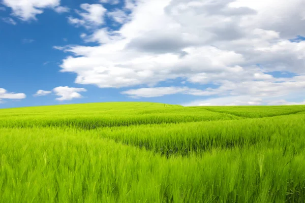 Łąka, wzgórza i błękitne niebo. Zielona planeta Obraz Stockowy