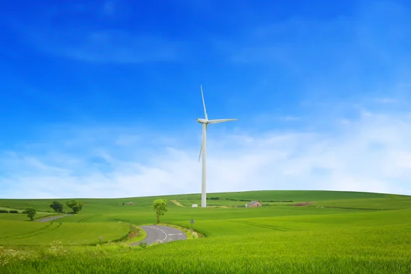 Een kronkelende weg in een veld met een windmolen die elektriciteit produceert — Stockfoto