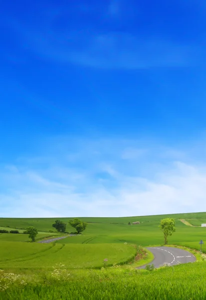 Een kronkelende weg in het veld en de blauwe lucht — Stockfoto