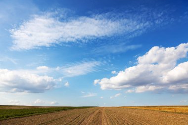 Tarla ve mavi gökyüzü. Hasat tan sonra peyzaj