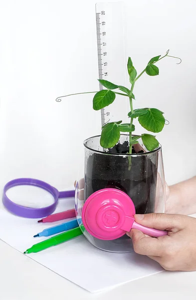 Little child imagining herself a doctor while playing with stethoscope. Preschool environmental education. Earth day. Sign symbol for take care of health of planet, environment, global warming concept