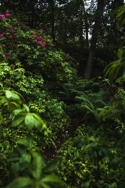 Panca in giardino botanico — Foto Stock