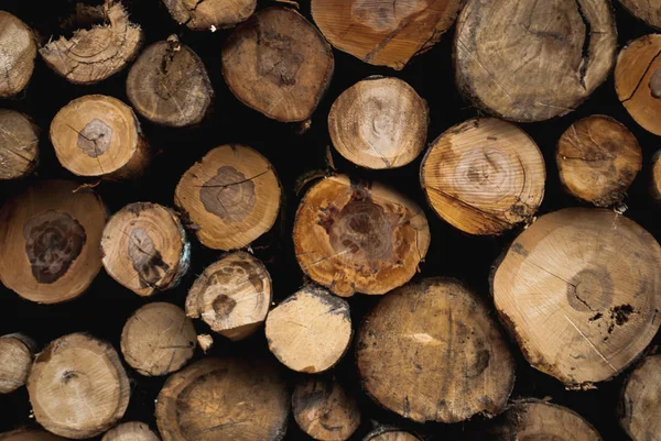Apilados troncos redondos —  Fotos de Stock