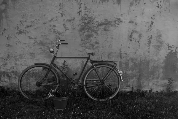 Ein Blumentopf und ein Fahrrad — Stockfoto