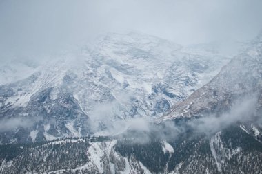 Ledar köyündeki karlı himalaya dağları, Annapurna pisti, Nepal, Asya