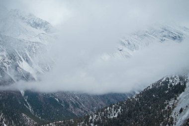 Ledar köyündeki karlı himalaya dağları, Annapurna pisti, Nepal, Asya
