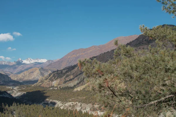 Montagne Trekking Circuito Dell Annapurna Valle Del Fiume Marshyangdi Humde — Foto Stock