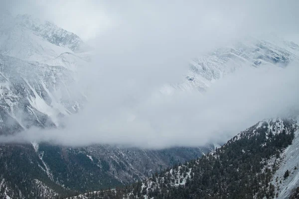 Snowy Himalayan Mountains Ledar Village Trekking Annapurna Circuit Nepal Asia — Stock Photo, Image