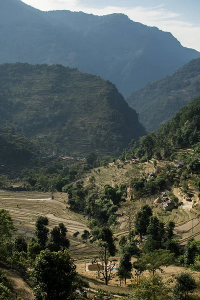 Kilátás Kunyhók Teraszos Rizsföldek Annapurna Áramkör Nepál — Stock Fotó