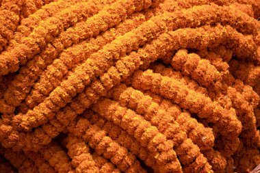 Çok sayıda turuncu renkli ve canlı kadife çiçekleri sırayla birleştirin.