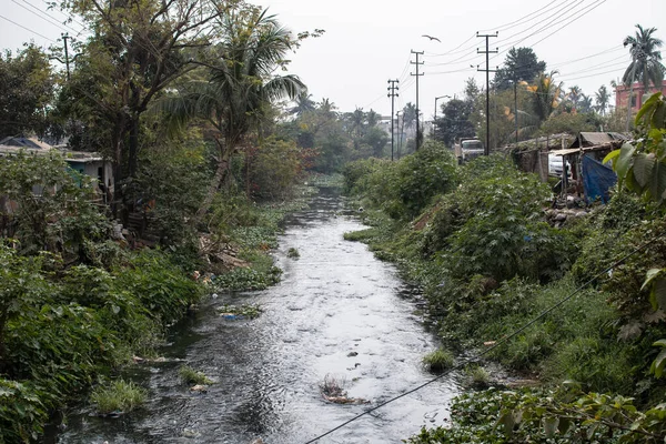 Rio Coberto Vegetação Densa Que Atravessa Lentamente Favelas Bhubaneswar Orissa — Fotografia de Stock