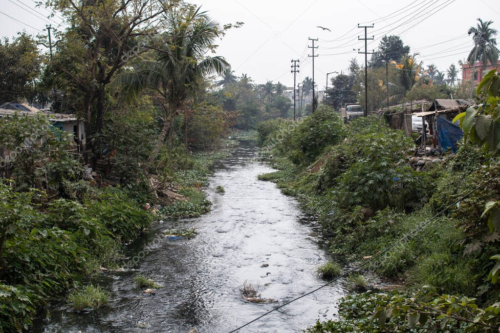 An overgrown river with dense vegetation slowly running through the slums of Bhubaneswar, Odisha, India