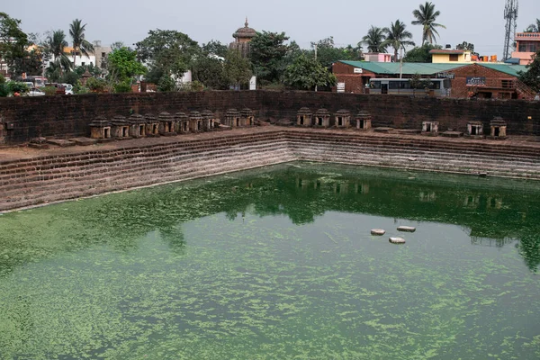 Uma Pequena Lagoa Com Água Verde Cheia Pólen Por Várias — Fotografia de Stock