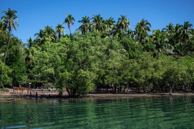 Turkuaz bir nehrin nehir kıyısında yemyeşil mangrov ve palmiye ağaçları, huzur ve sessizlik, Ngwesaung, Myanmar