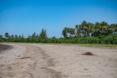 Ngwesaung sahilinin kuzeyindeki dalgalar sırasında Mangrov ve palmiye ağaçlarıyla kıyı şeridi, Irrawaddy, batı Myanmar