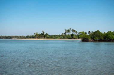 Mavi suları, temiz gökyüzü, yeşil palmiye ağaçları ve Ngwesaung, Irrawaddy, batı Myanmar dışında tropikal bir kumsal.
