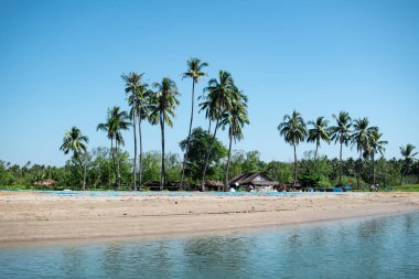 Açık mavi gökyüzünün altında uzun palmiye ağaçları, Ngwesaung, Irrawaddy, batı Myanmar 'da balık ağları olan tek bir ev.