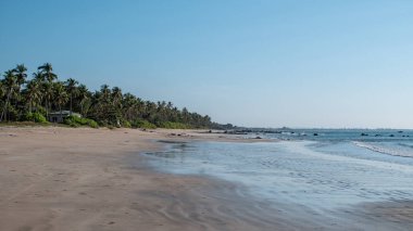 Palmiye ağaçları ve palmiye ağaçları olan boş tropik bir sahil, dinlenme, huzur ve sessizlik, Chaung Thar 'ın kuzeyi, Irrawaddy, batı Myanmar