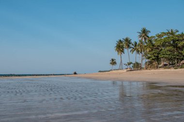 Palmiye ağaçları ve palmiye ağaçları olan boş tropik bir sahil, dinlenme, huzur ve sessizlik, Chaung Thar 'ın kuzeyi, Irrawaddy, batı Myanmar