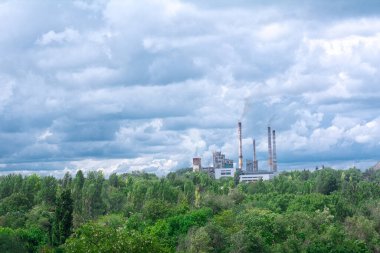 Bir bitki, gökyüzü, bulutlu manzara