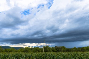 Dağlardaki bulutlar