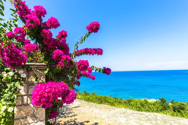 Landskap Grekland Zakynthos Island — Stockfoto