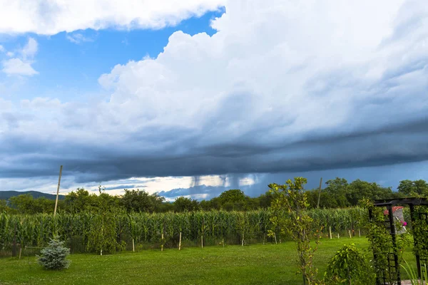 Dağlardaki bulutlar