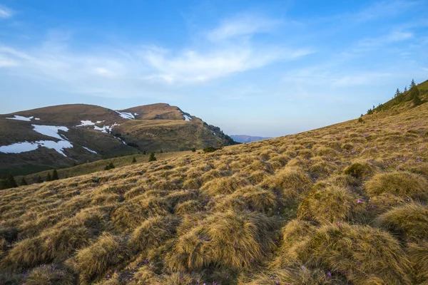 Paisagem Nas Montanhas — Fotografia de Stock