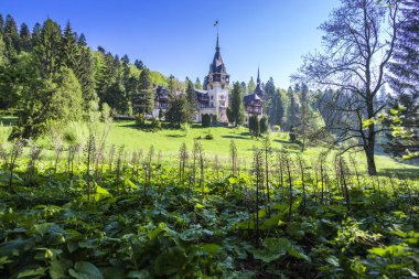 Mavi gökyüzü arka plan üzerinde yeşil orman eski kale