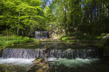 Bahar Orman taze yeşillik ve şelale ile