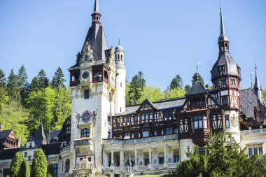 Yeşil orman eski kale