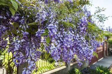 Turuncu gökyüzü günbatımı