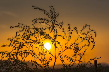 Baharda gün batımı
