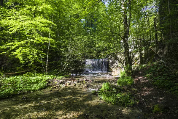 Vårskog Med Färska Blad Och Vattenfall — Stockfoto