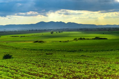 Güneşli bir bahar peyzaj 