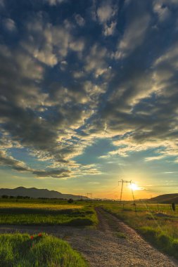 Güzel bahar manzaralı 