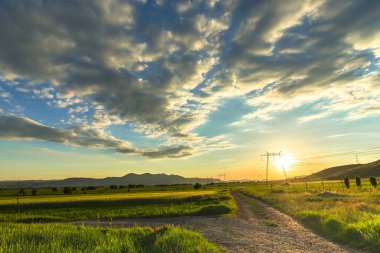 Güzel bahar manzaralı 