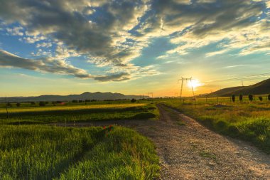 Güzel bahar manzaralı 