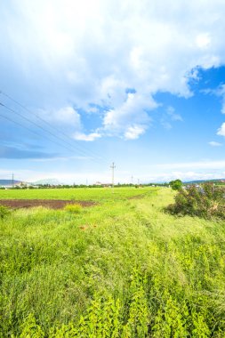 Güzel bahar manzaralı 